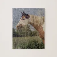 Pinto Horse Grunge Jigsaw Puzzle