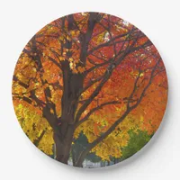 Autumn Leaves of Yellow and Orange Photo Paper Plates