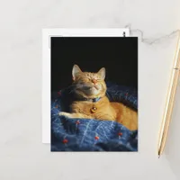 A Cute Sleepy Ginger Kitty  Postcard