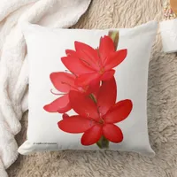 Kaffir Lily / River Lily / Hesperantha Coccinea Throw Pillow