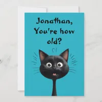 Funny surprised black cat How old blue