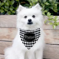 Sporty and Whimsical Personalized Pet Bandana Collar