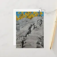 Black White Floral Print Flour Yellow Sunflowers Postcard
