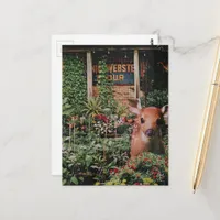 Cute Fawn in the Garden Collage Postcard