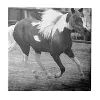 Mini Horse Gallops Ceramic Tile