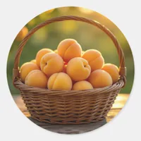 Basket of Apricots Classic Round Sticker