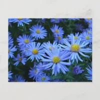 Blue Flowers Postcard