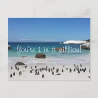 Funny Penguins Thank You Postcard