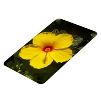 Yellow Hibiscus Flower Magnet