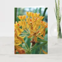 Milkweed Card