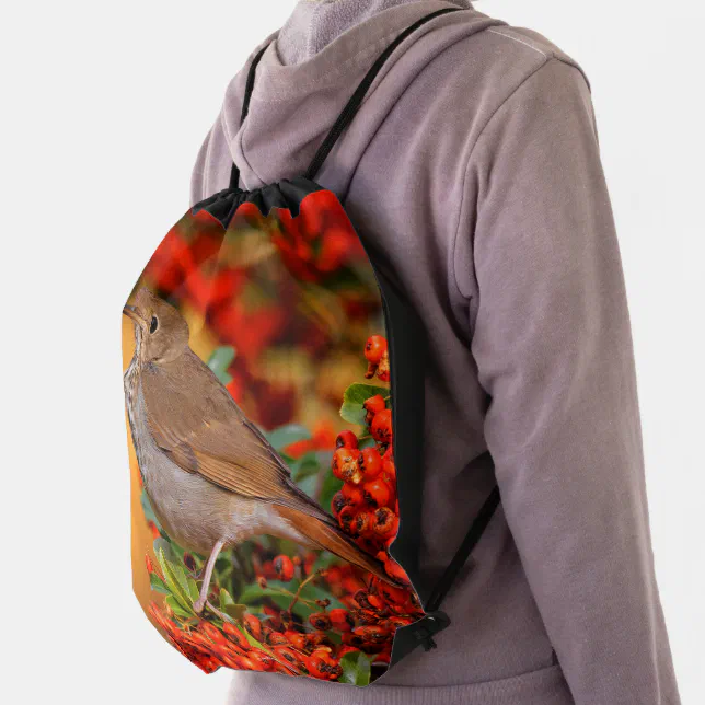 Stunning Hermit Thrush Songbird on Berry Bush Drawstring Bag