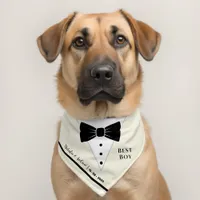 Creamy White Pet Tuxedo Couple Names Wedding Date Pet Bandana Collar
