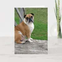 Bulldog, Thinking About You Card