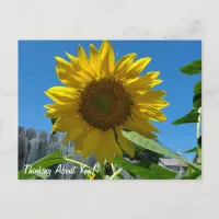 Thinking About You Sunflower Photography Postcard