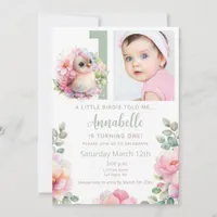 Cute Baby Bird One Year Old Birthday Invitation