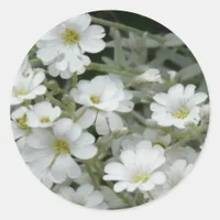 White Flowers From Garden Classic Round Sticker