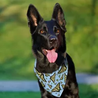 Southwest Yellow Swallowtail Butterflies Pattern Pet Bandana Collar