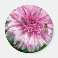 Pink Flower and Bugs Magnet