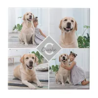 Custom Photo Collage Monogram Name Dog Ceramic Tile