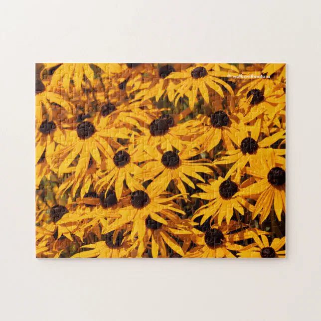 Rudbeckia Fulgida / Orange Coneflower Jigsaw Puzzle