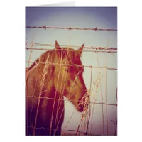 Abstract Horse Behind the Fence