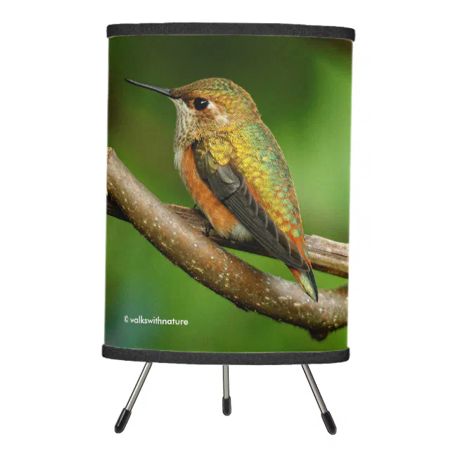 Beautiful Rufous Hummingbird on Twining Vines Tripod Lamp