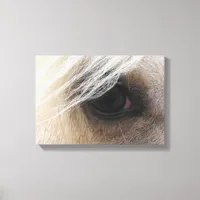 Palomino Canvas Print