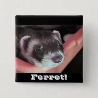 Sable Ferret Button