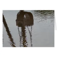 Swing Reflection in Flash Flood Water