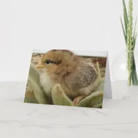 Chick Weed Card