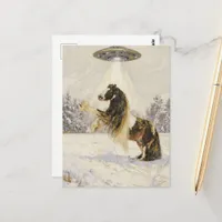 Horse and a UFO in the Winter Postcard