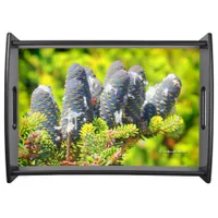 Big Blue Korean Fir Cones Serving Tray