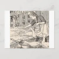 Feeding The ducks Postcard