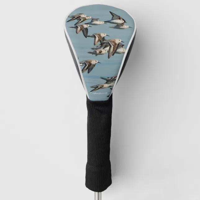 Sanderlings Take Flight in the Winter Skies Golf Head Cover