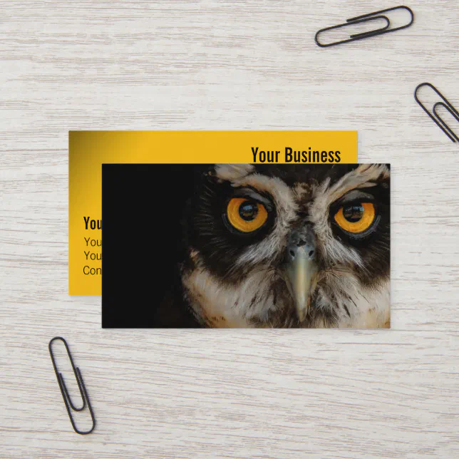 Mesmerizing Golden Eyes of a Spectacled Owl Business Card