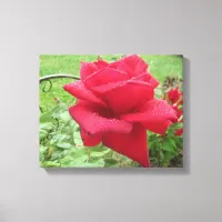 A Red Rose in the Rain Wall Hanging Canvas Print