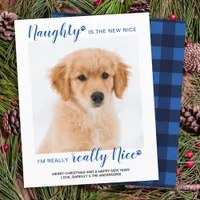 Budget Naught Nice Funny Pet Photo Holiday Card