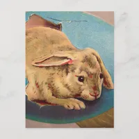 Vintage Easter Rabbit