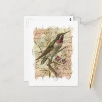 Vintage Hummingbird Collage Postcard