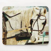 Gray Amish Buggy Horse Mouse Pad