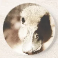 Duckling Digital Art Drink Coaster