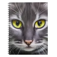 Wonderful cat portrait    notebook