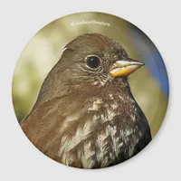 Beautiful Sooty Fox Sparrow in a Pear Tree Magnet