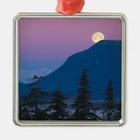 Nightfall in Alaska Metal Ornament