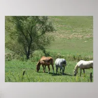 Horse Pasture Poster