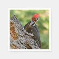 Stunning Portrait of Pileated Woodpecker on Tree Napkins