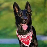 Red Confetti Hearts Personalized Pet Bandana Collar