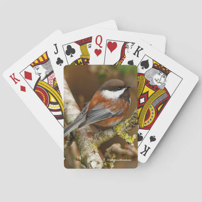 Cute Chestnut-Backed Chickadee in the Pear Tree Poker Cards