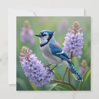Pretty Blue Jay Standing on Lilac Branches