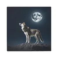 Full Moon Shining on the Wolf  Metal Print